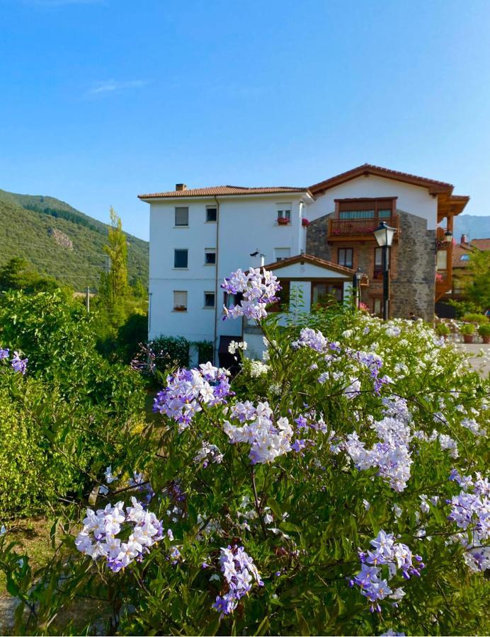 Hotel Toscana اوخيدو المظهر الخارجي الصورة